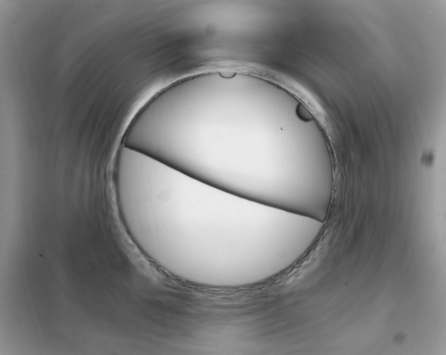X0000102340907200808010910