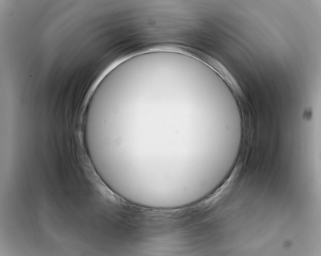 X0000102340908200808010909