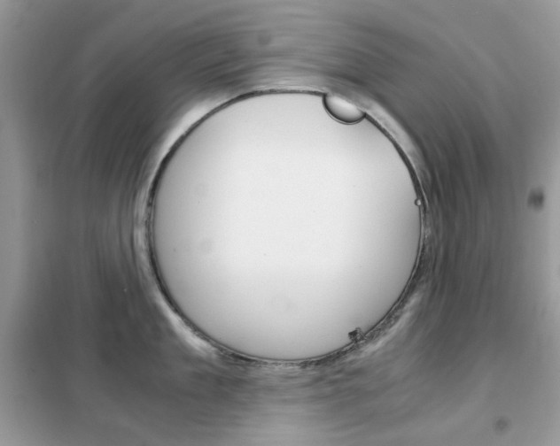 X0000102340909200808010909