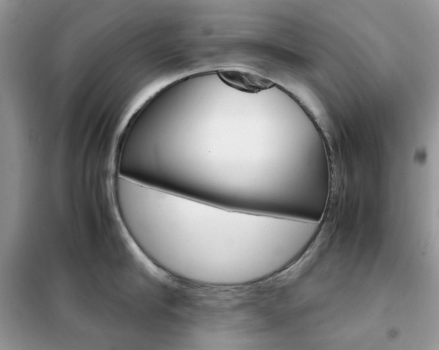X0000102340910200808010909