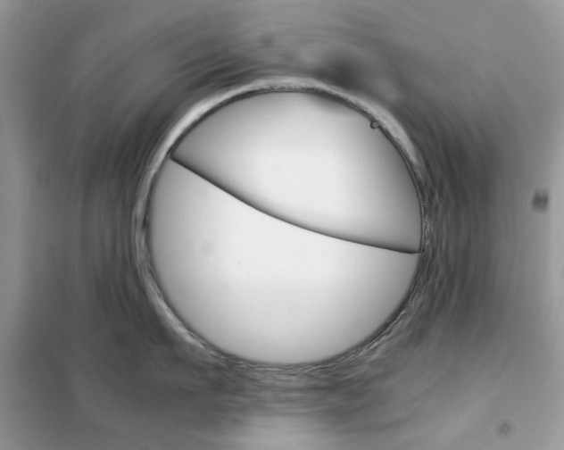 X0000102340911200808010909