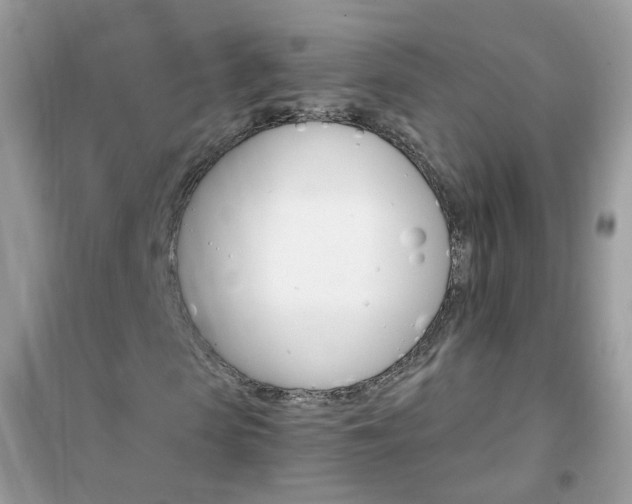 X0000102340913200808010909
