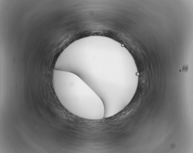 X0000102340916200808010909