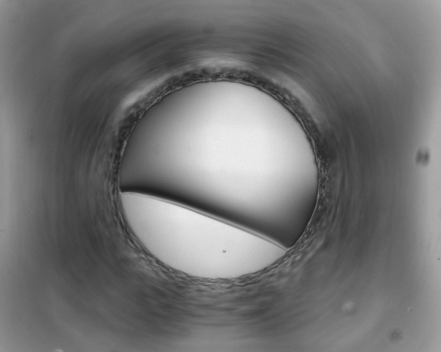 X0000102340919200808010909