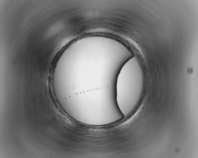 X0000102340921200808010909