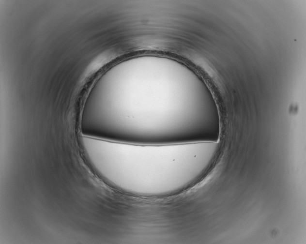 X0000102340922200808010909