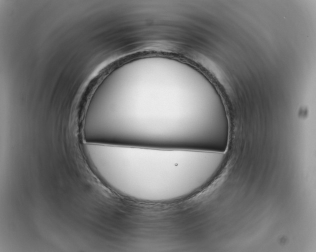 X0000102340923200808010909