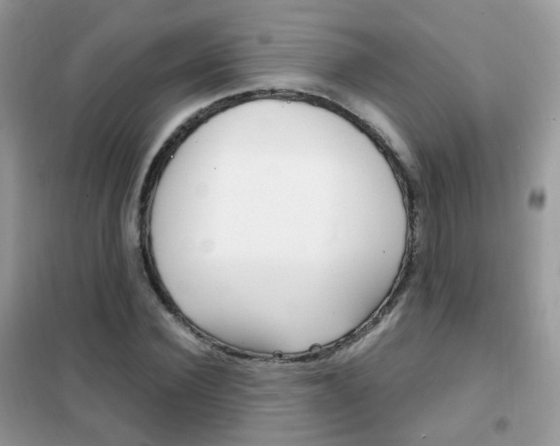 X0000102340924200808010909