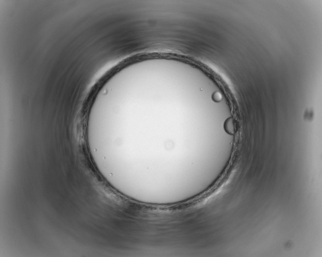 X0000102340925200808010909