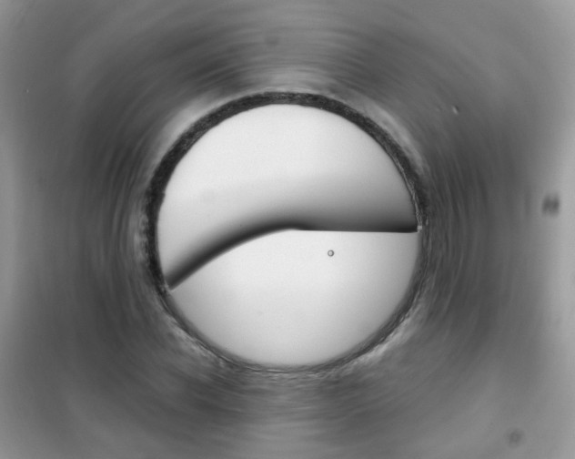 X0000102340926200808010909