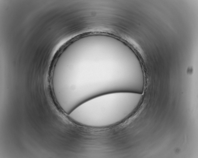 X0000102340928200808010909