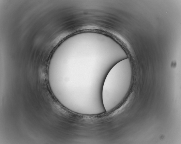 X0000102340929200808010909