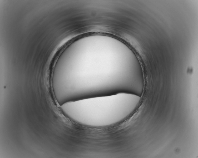 X0000102340931200808010909