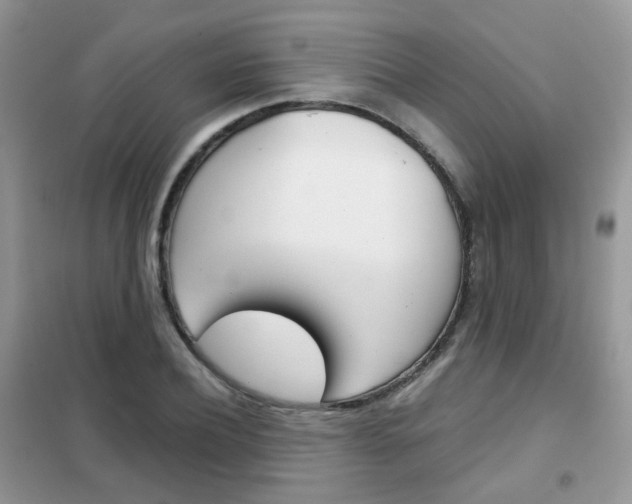 X0000102340932200808010909