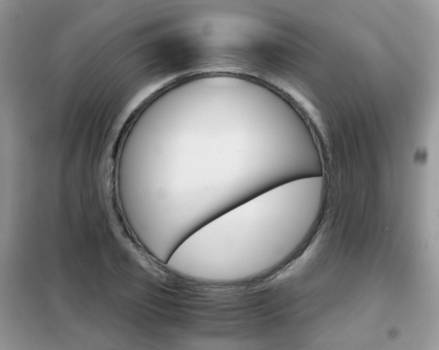 X0000102340933200808010909