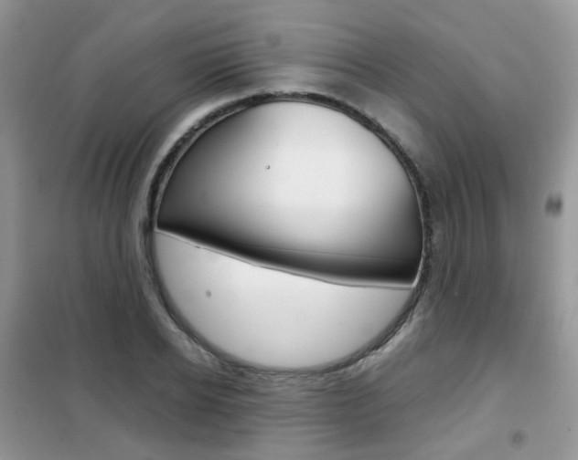 X0000102340934200808010909