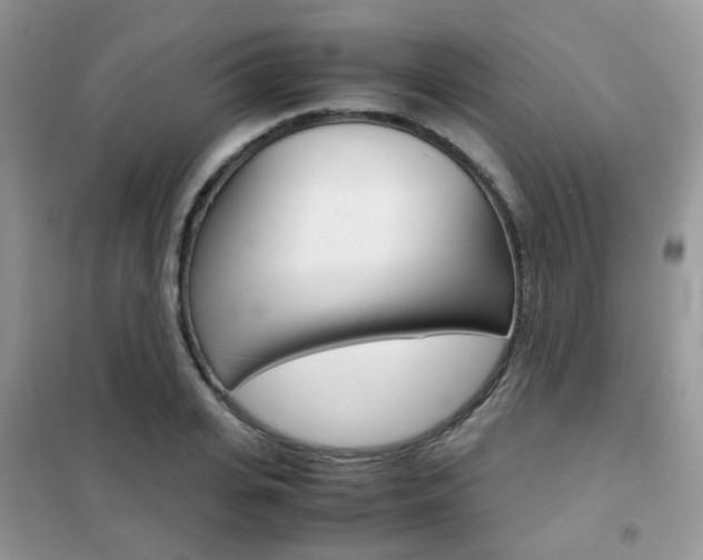 X0000102340935200808010909