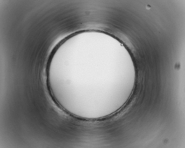 X0000102340936200808010909