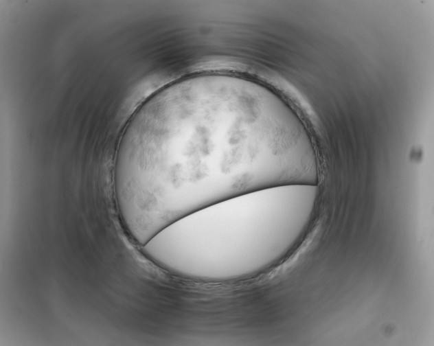 X0000102340937200808010909