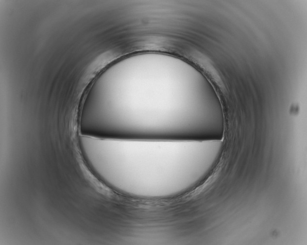 X0000102340938200808010909