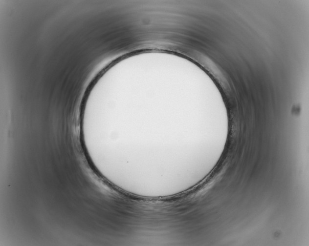X0000102340940200808010909
