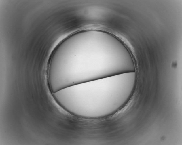 X0000102340941200808010909