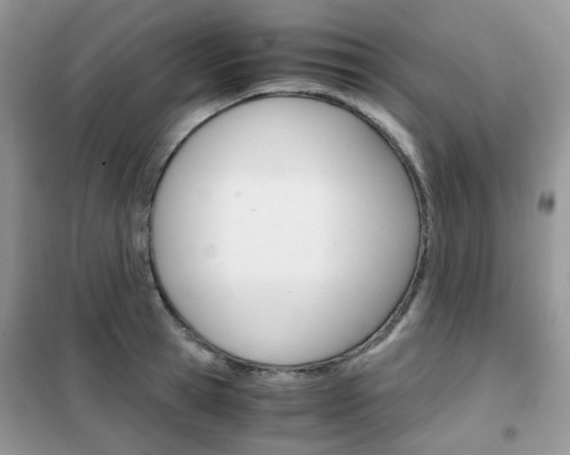X0000102340945200808010909