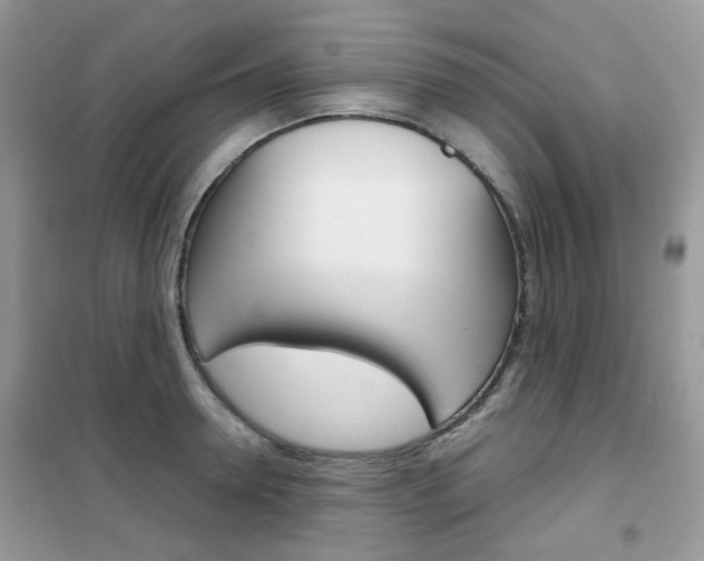 X0000102340946200808010909