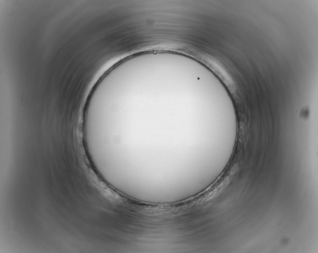 X0000102340948200808010909