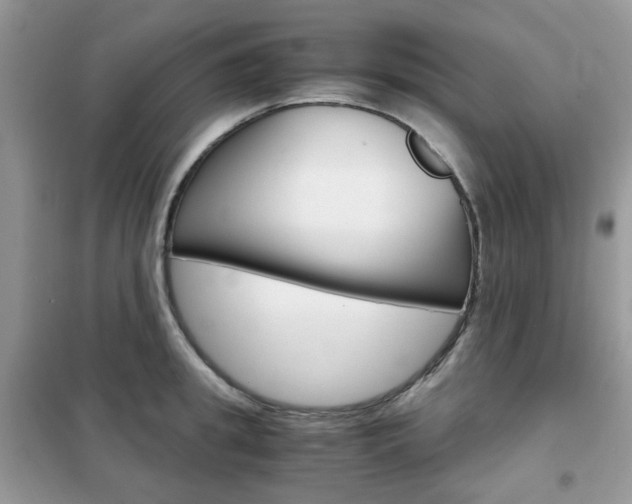X0000102340949200808010909