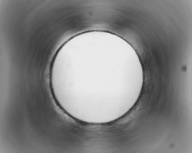 X0000102340950200808010909