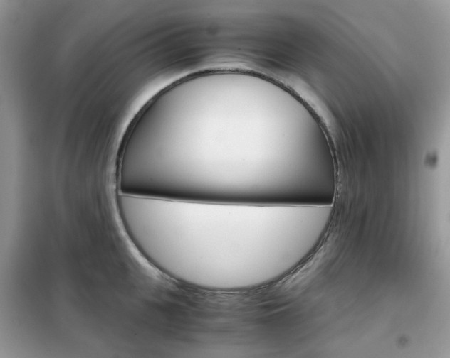 X0000102340951200808010909