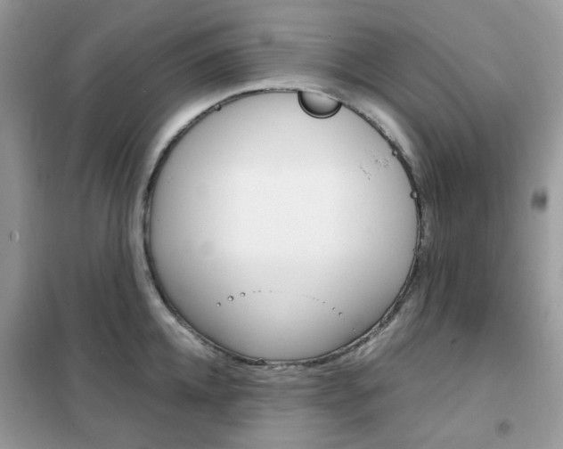 X0000102340952200808010909