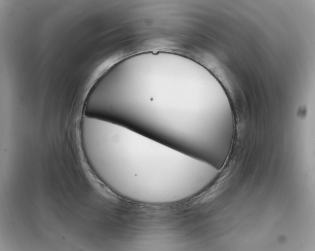 X0000102340954200808010909