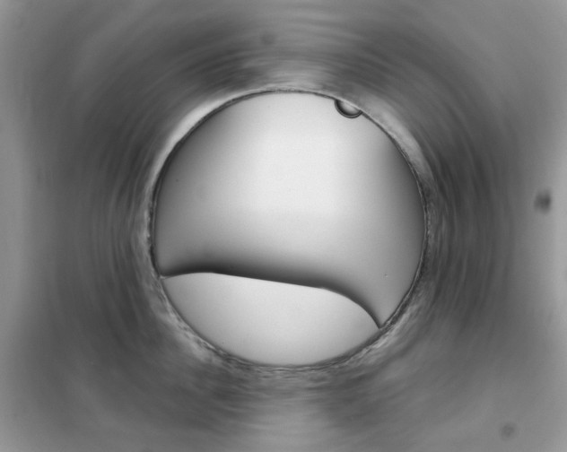 X0000102340956200808010909