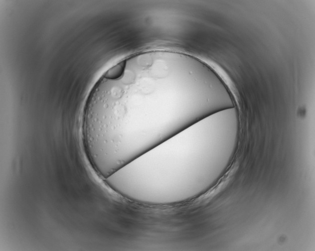 X0000102340957200808010909