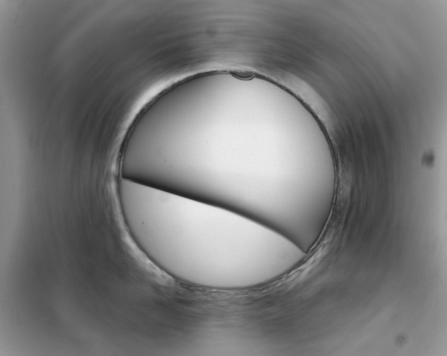 X0000102340958200808010909