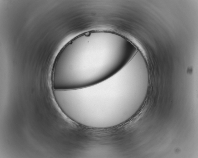 X0000102340959200808010909
