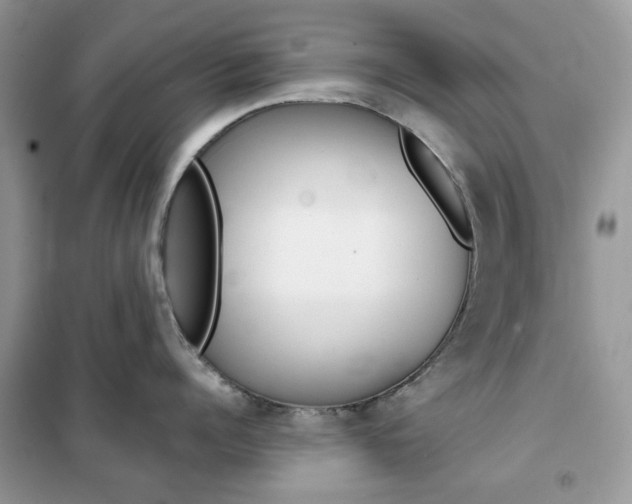 X0000102340960200808010909