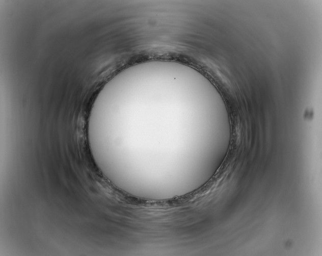 X0000102340964200808010909