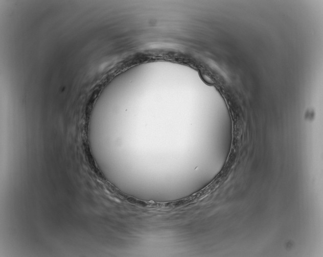 X0000102340965200808010909