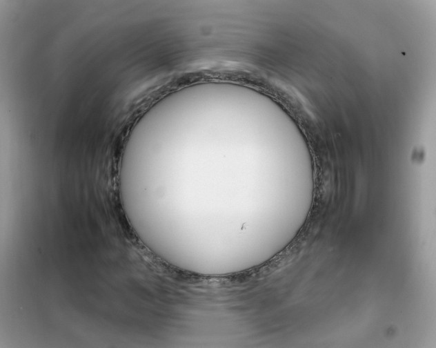 X0000102340966200808010909