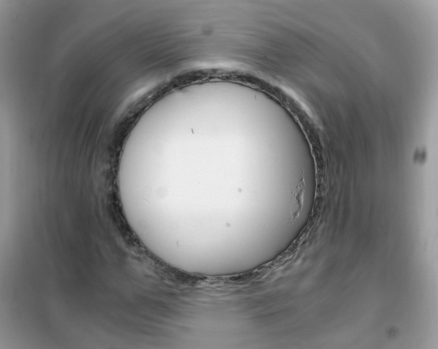 X0000102340967200808010909