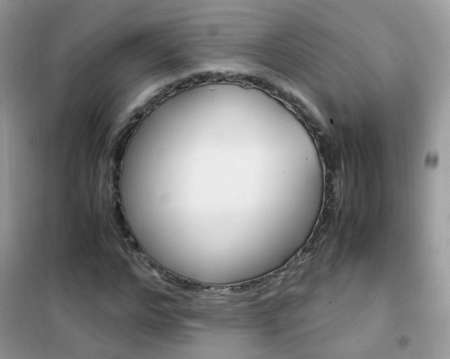 X0000102340968200808010909