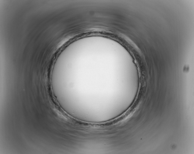 X0000102340969200808010909