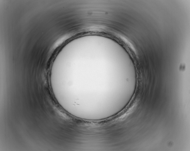 X0000102340970200808010909