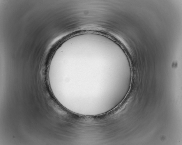 X0000102340971200808010909