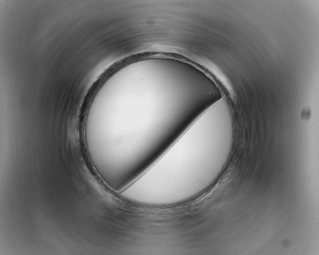 X0000102340972200808010909