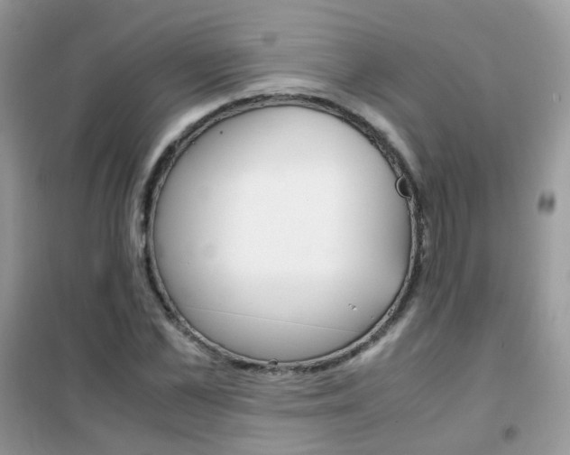 X0000102340973200808010909