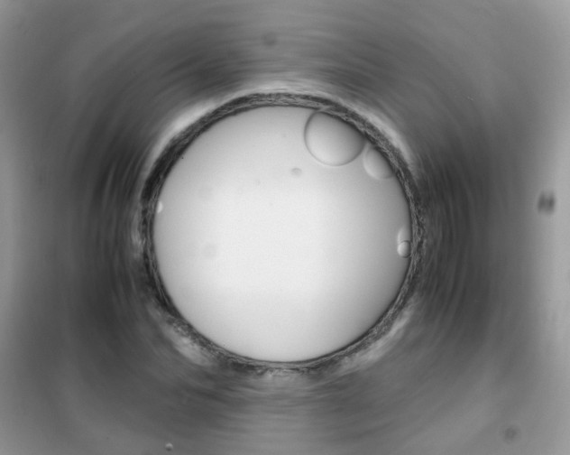X0000102340974200808010909